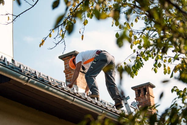 Best Roof Gutter Cleaning  in Sweetwater, FL